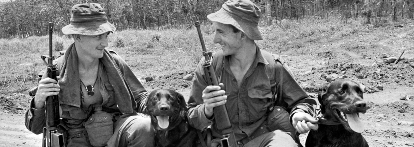 Read more about the article Recognising war’s greatest companions