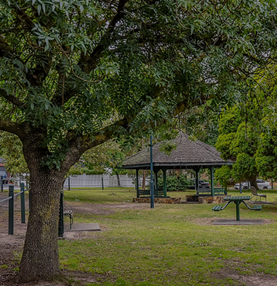 You are currently viewing Dandenong