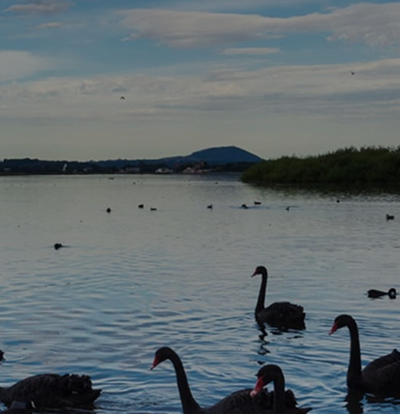 You are currently viewing Ballarat
