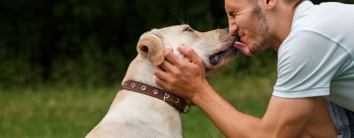Read more about the article 5 ways dogs help veterans adjust to civilian life