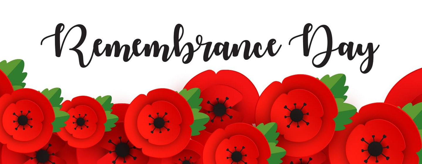 Read more about the article Remembrance Day. A Sea of Poppies