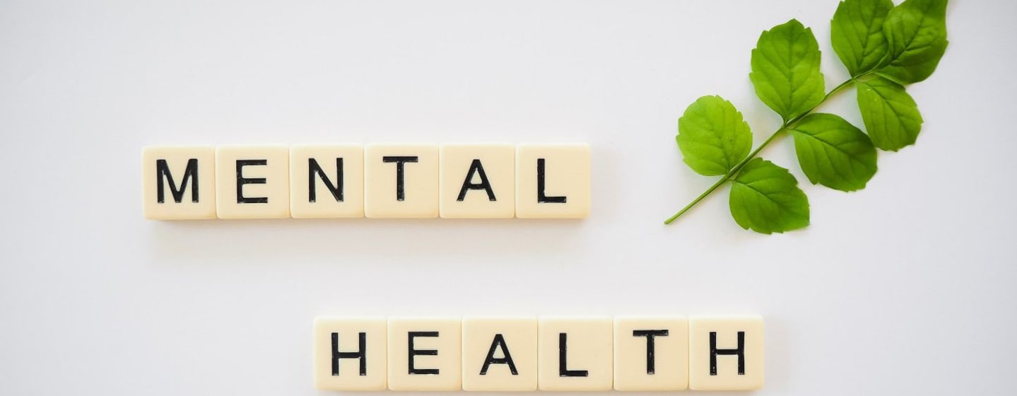 Read more about the article The Challenges of Mental Health & Wellness for Veterans